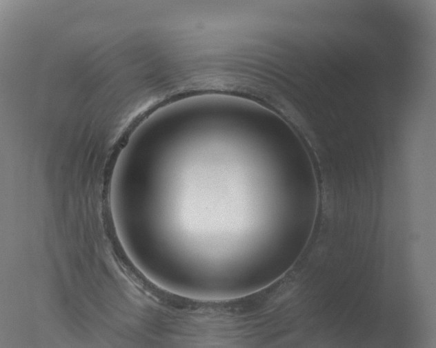 X0000077330434200610271740