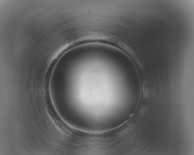 X0000077330436200610271740