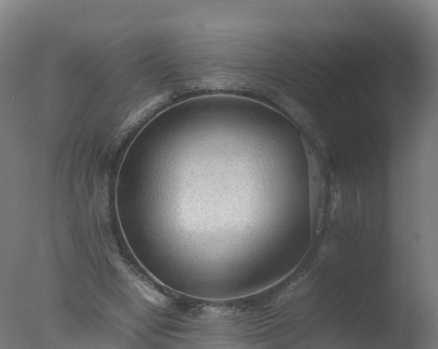 X0000077330442200610271740