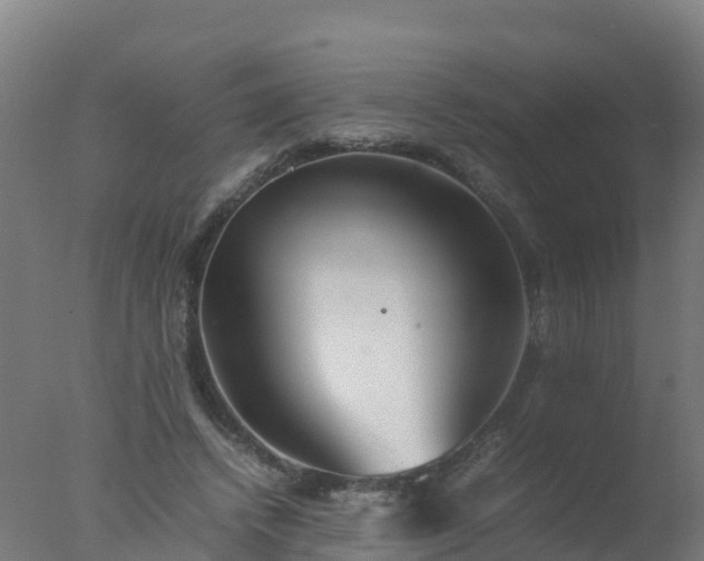 X0000077330448200610271740