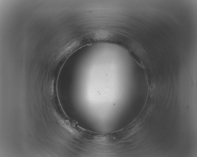 X0000077330454200610271741
