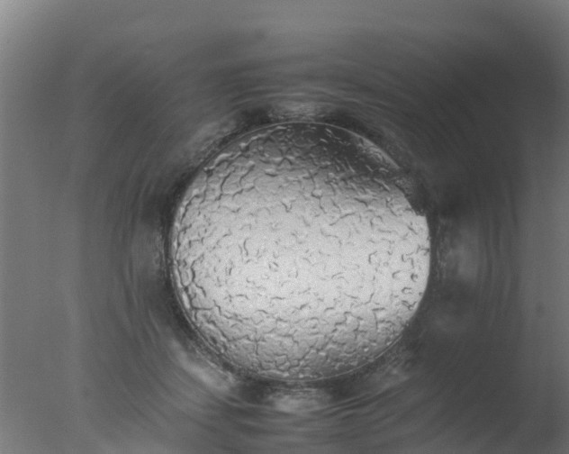 X0000077330459200610271741