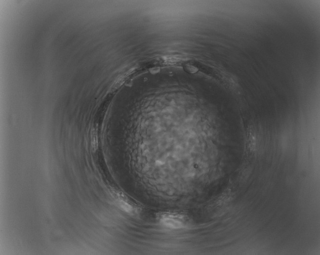 X0000077330471200610271741
