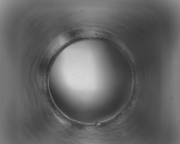 X0000077330489200610271740