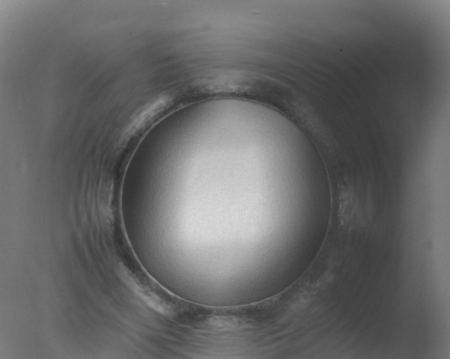X0000077330490200610271740