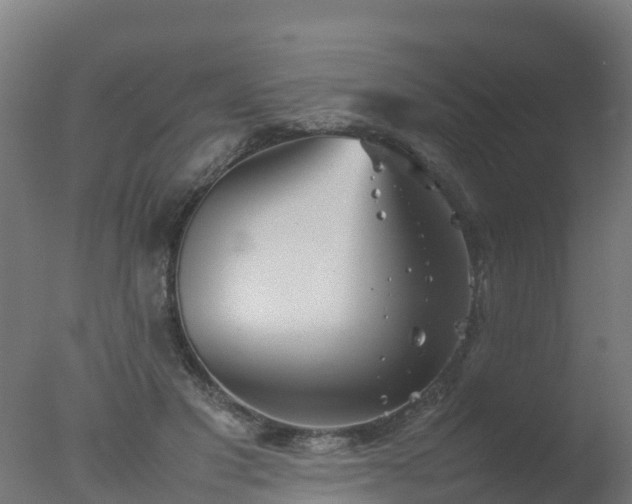 X0000077330501200610271740