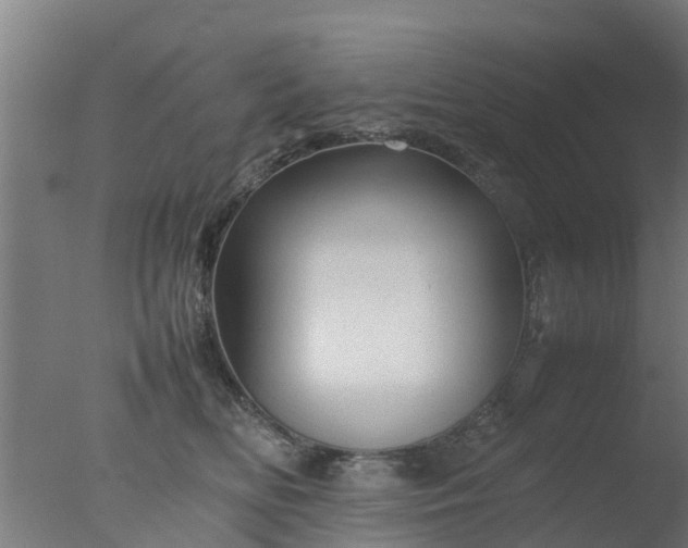 X0000077330518200610271740