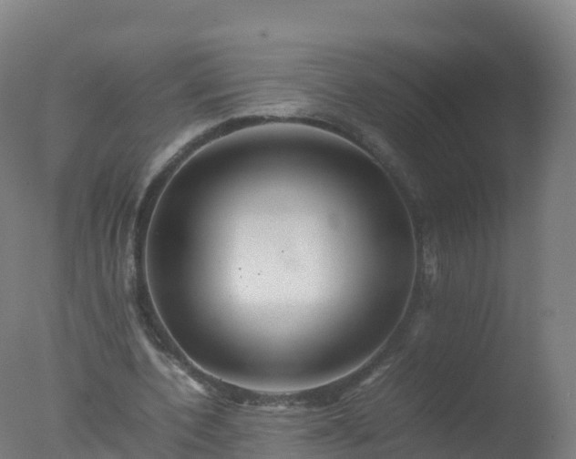 X0000077330532200610271739