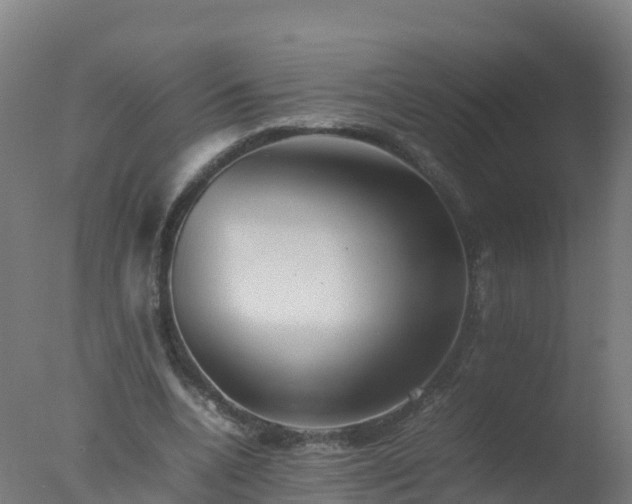 X0000077330536200610271739