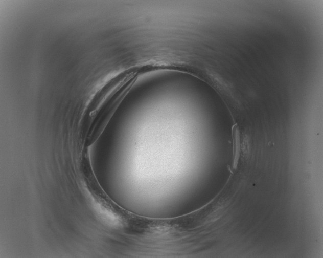 X0000077330540200610271739