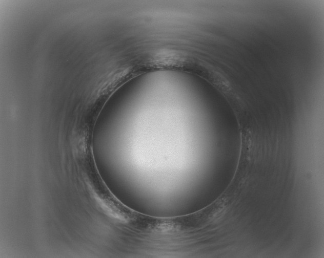 X0000077330546200610271739