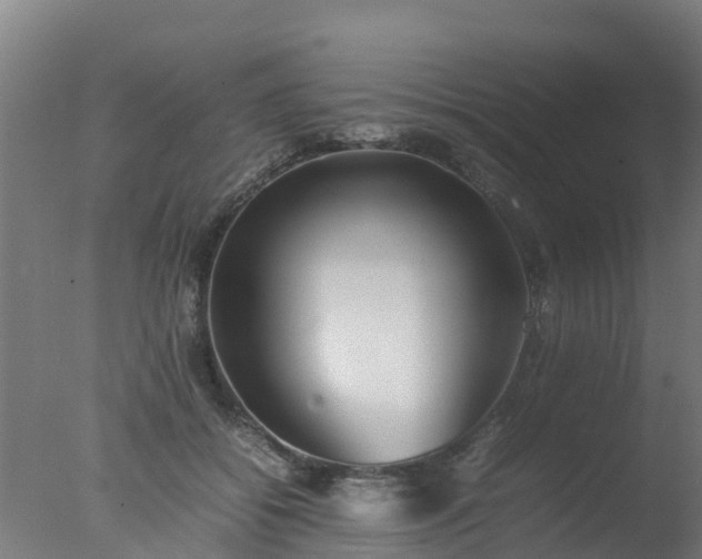 X0000077330556200610271739