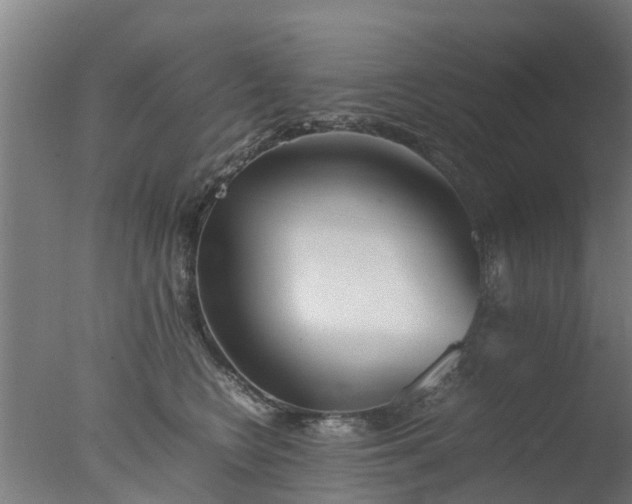 X0000077330566200610271739
