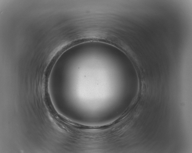 X0000077330580200610271738