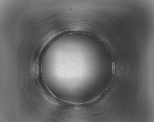 X0000077330584200610271738