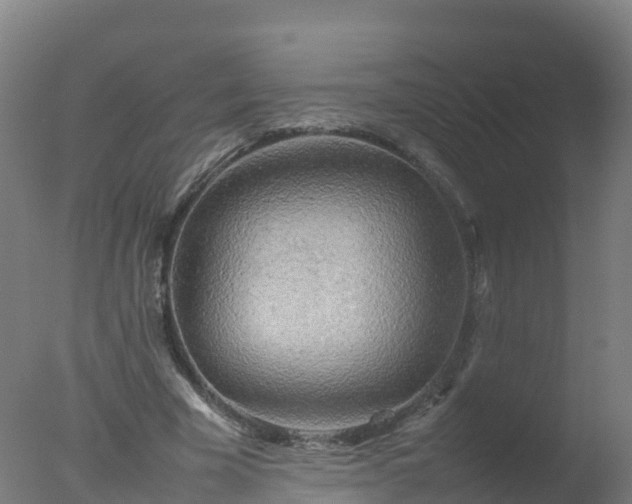 X0000077330585200610271738