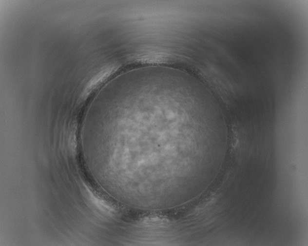 X0000077330586200610271738