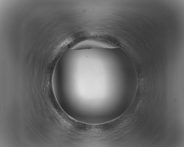 X0000077330593200610271738