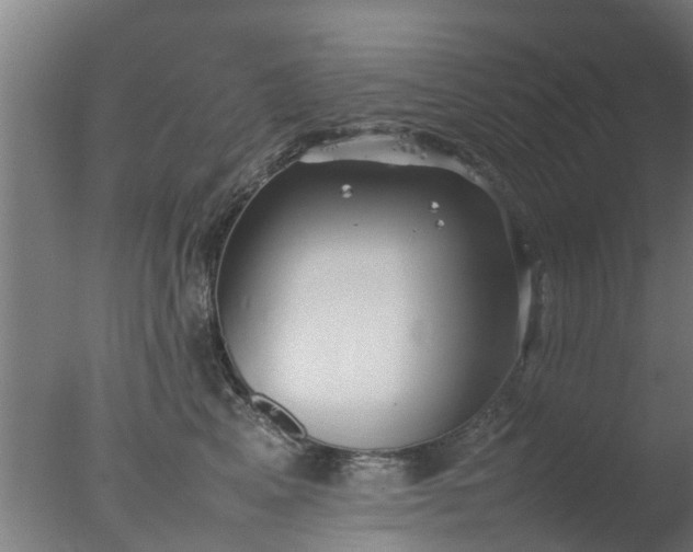 X0000077330617200610271738