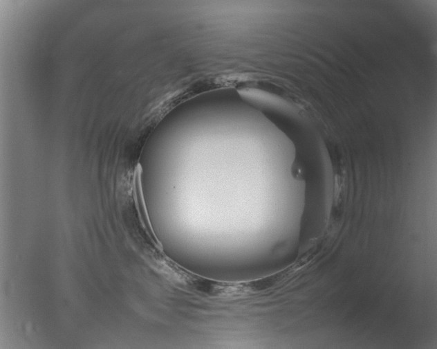 X0000077330621200610271738