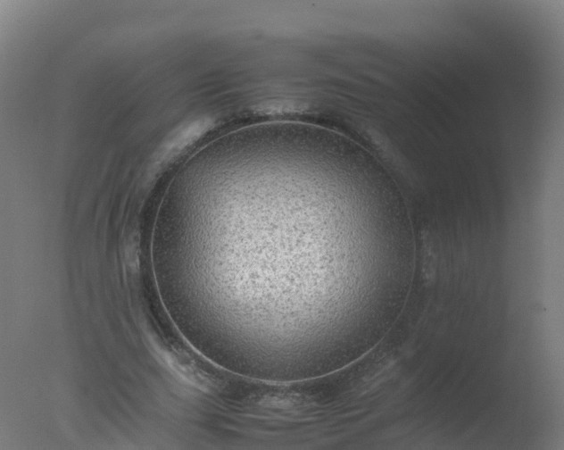 X0000077330631200610271737
