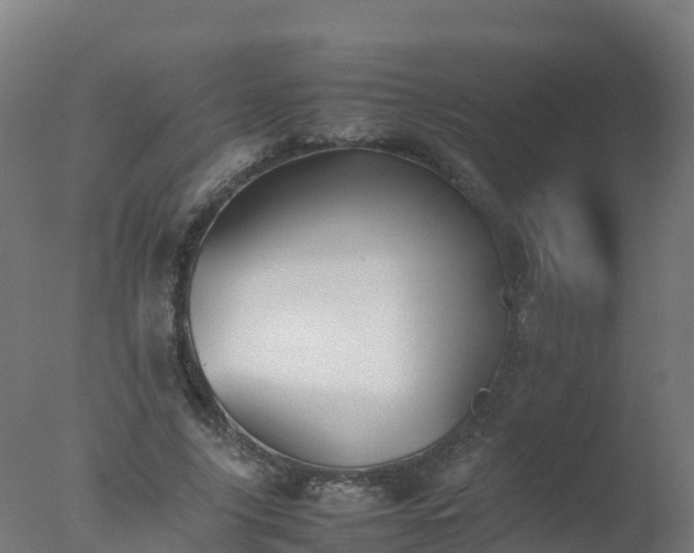 X0000077330635200610271737
