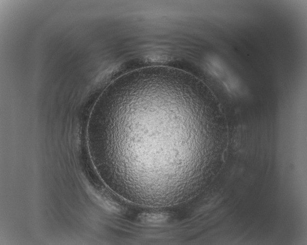 X0000077330639200610271737