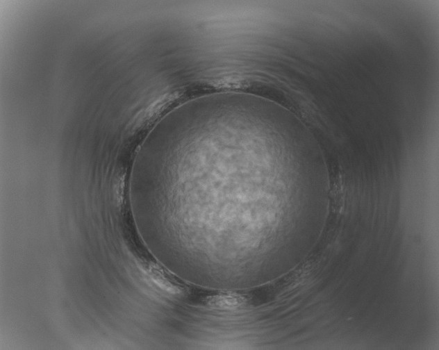 X0000077330652200610271737