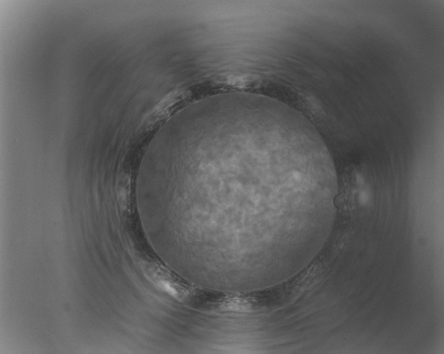 X0000077330656200610271737