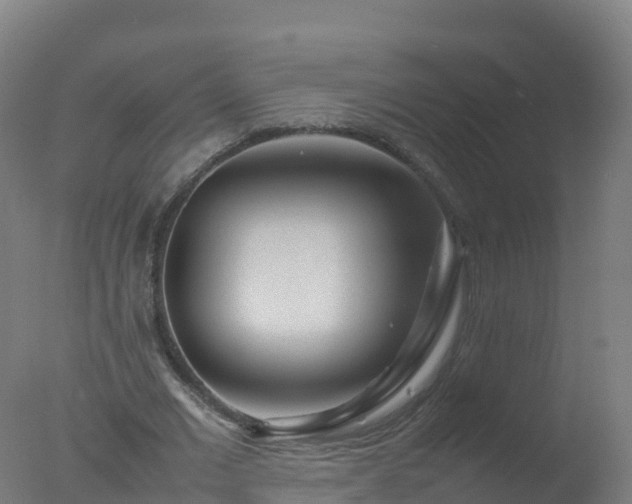 X0000077330677200610271737