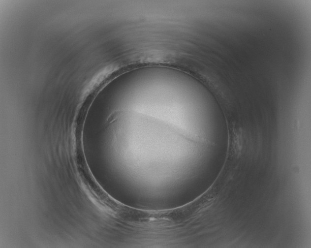 X0000077330678200610271737