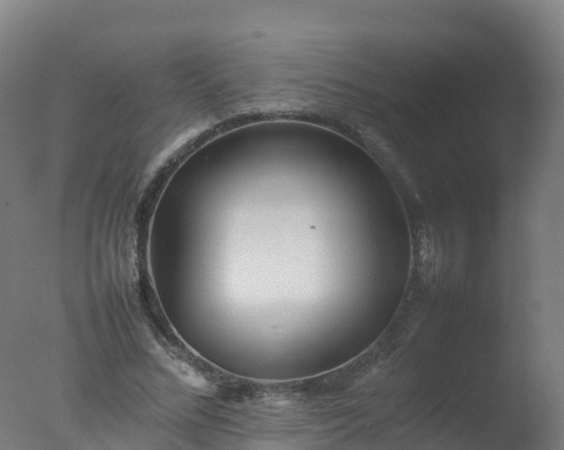 X0000077330684200610271737