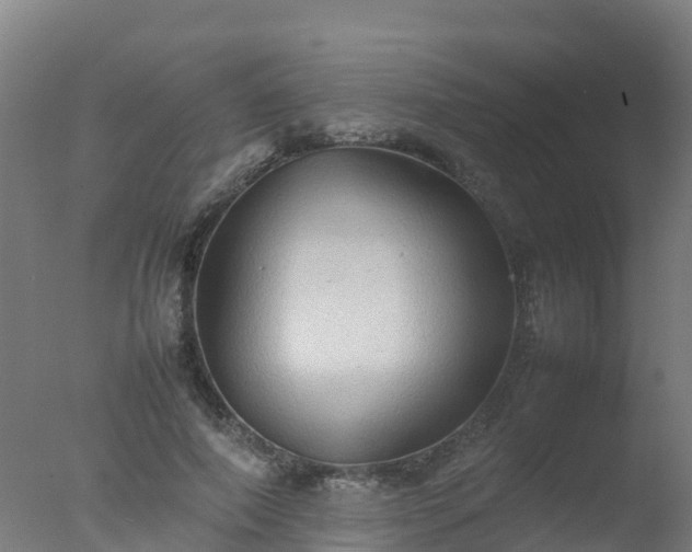 X0000077330690200610271737