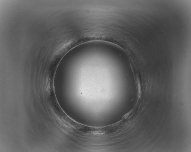X0000077330692200610271737
