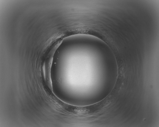X0000077330693200610271737