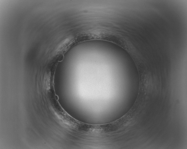X0000077330694200610271737
