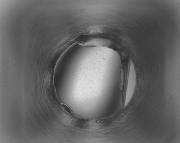 X0000077330697200610271736