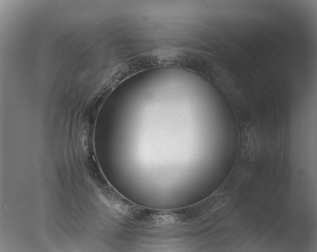 X0000077330698200610271736
