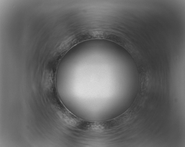 X0000077330702200610271736