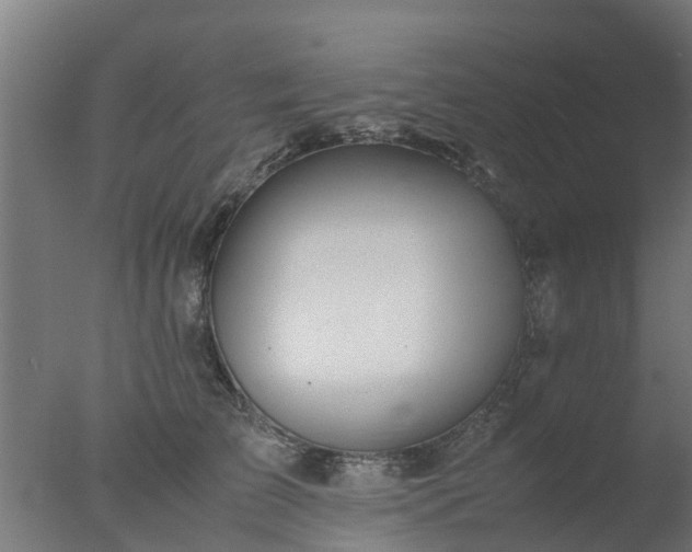 X0000077330709200610271736