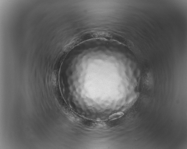 X0000077330715200610271736