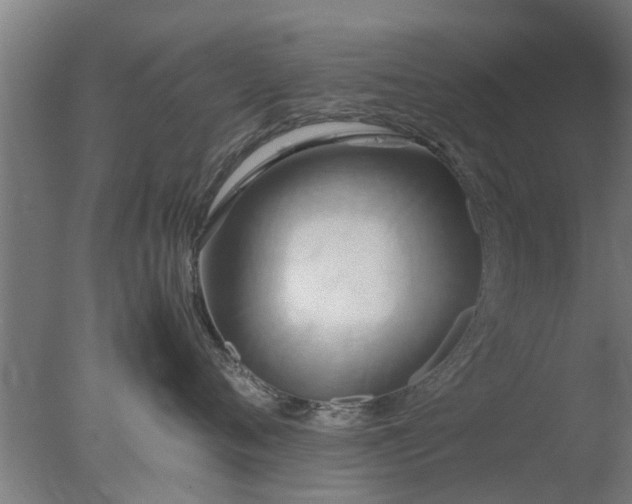 X0000077330720200610271736