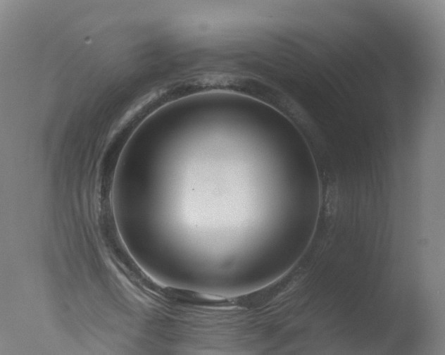 X0000077330722200610271735