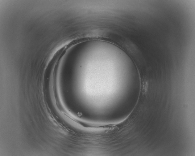 X0000077330724200610271735