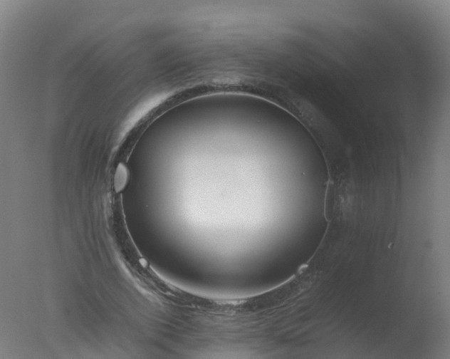 X0000077330728200610271735