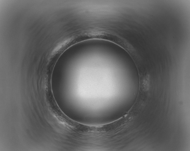 X0000077330732200610271735