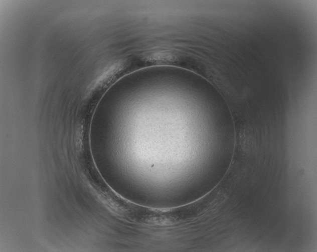 X0000077330735200610271736
