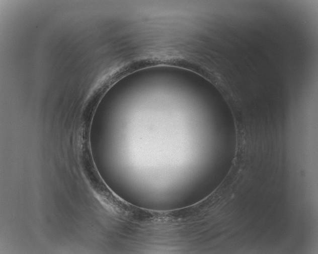 X0000077330736200610271736