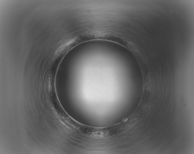 X0000077330740200610271736