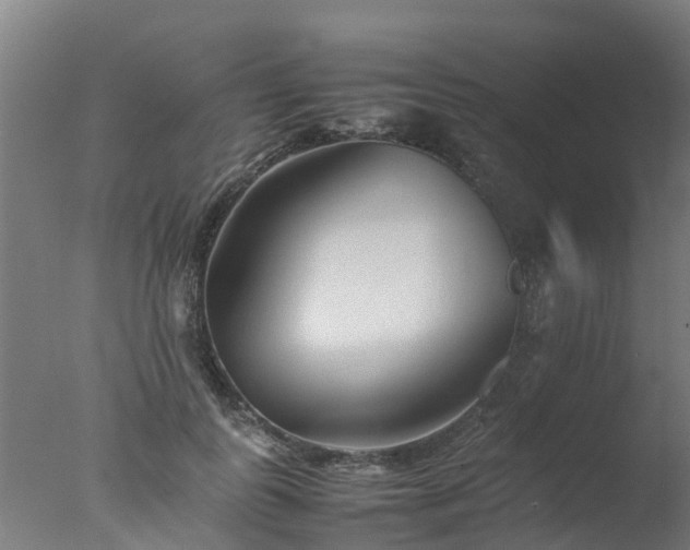 X0000077330747200610271736